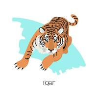 Tiger in the background with a brushstroke. Vector image of a flat animal. Isolated on white background