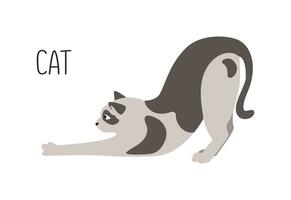 el gato es un familia de felinos título. vector plano ilustración de animal aislado en blanco antecedentes.