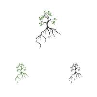 mangrove logo and symbol vector