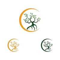 mangrove logo and symbol vector