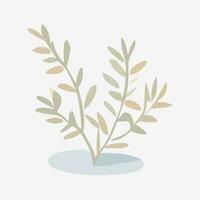 Illustration of olive tree branches in a flat style. photo