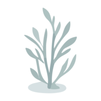 Illustration of an isolated seaweed icon in a flat style. png