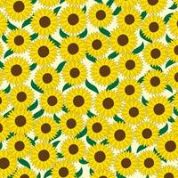 Hand drawn sunflower seamless pattern vector