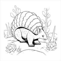 Armadillo Coloring Page For Kids vector