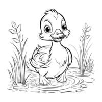 Baby Duck Swimming Coloring Pages Drawing For Kids vector