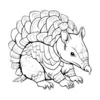 Armadillo Coloring Page For Kids vector