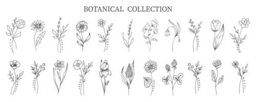 Botanical collection of hand drawn flowers and plants in doodle style. Sketch, line art. Icons, templates, decor elements, vector