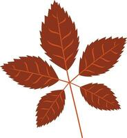 Maroon Autumn Leaf Element vector