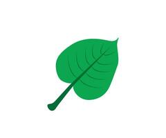 Green Tree leaf design vector