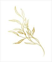 Botanical golden illustration of a leaves branch for wedding invitation and cards, logo design, web, social media and posters template. Elegant minimal style floral vector isolated.