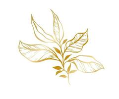 Botanical golden illustration of a leaves branch for wedding invitation and cards, logo design, web, social media and posters template. Elegant minimal style floral vector isolated.