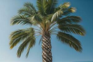 Palm tree on the beach. Summer vacation concept. ai generative photo