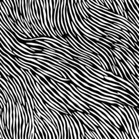 Black and White doodles abstract seamless background with stroke line. vector