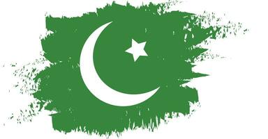 the flag of pakistan is painted on a white background vector