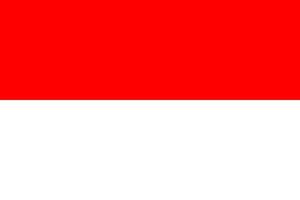 nacional bandera de Indonesia en oficial colores. vector