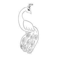 Peacock Decorative Element in Doodle Style vector