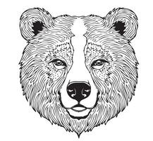 Bear head sketch hand drawn cartoon style Vector illustration