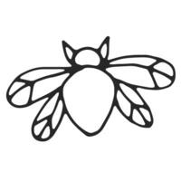 Beetle with wings, simple line drawing, black outline. Hand drawn, vector, on white background isolated. View from above. vector