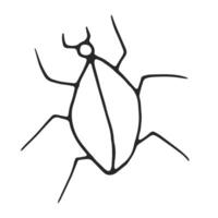 Beetle hand drawn, simple line drawing, black outline. Hand drawn, vector, on white background isolated. View from above. vector