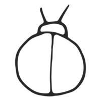 Beetle hand drawn, simple line drawing, black outline. Hand drawn, vector, on white background isolated. View from above. vector