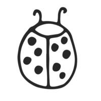 Ladybug simple linear drawing, black outline. Hand drawn, vector, on white background isolated. View from above. vector