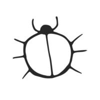 Beetle hand drawn, simple line drawing, black outline. Hand drawn, vector, on white background isolated. View from above. vector