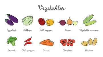 Vegetables vector set in outline with colored elements. Collection different types of vegetables in line art drawing style. Isolated vegetable collection, market label.