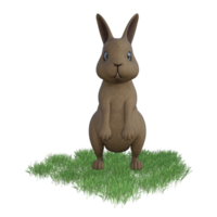 Hase mit Grün Gras png