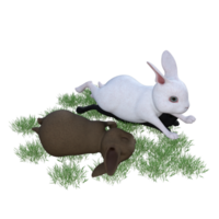 bunny with green grass png