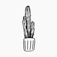 cactus plant in a pot with hand drawn style. isolated on white background. vector graphic.