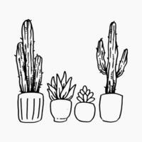 set of some houseplant cactus, aloe vera, succulents in pots with hand drawn. isolated on white background. vector graphic.