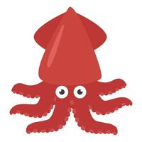 squid isolated on white background. vector illustration