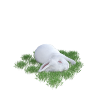 bunny with green grass png