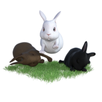 Hase mit Grün Gras png