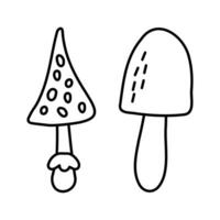 Mushrooms icon. Amanita Vector illustration isolated on white background