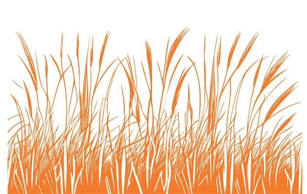 Wheat field sketch hand drawn in doodle style Vector illustration