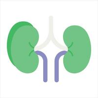 kidney flat icon design style vector