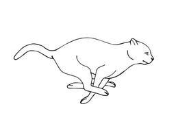 Vector flat hand drawn outline jumping cat