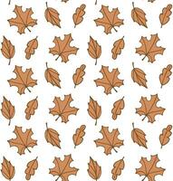 Vector seamless pattern of different autumn leaf