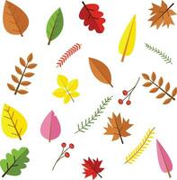 autumn vector flat background design