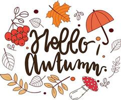 hand drawn background withautumn elements vector