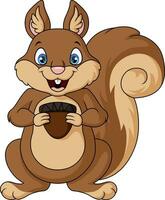 Cute squirrel cartoon holding acorn vector
