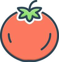 color icon for tomato vector