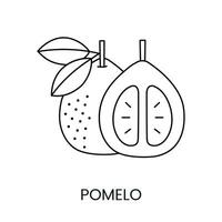 pomelo agrios fruta, línea icono en vector a indicar en comida embalaje acerca de el presencia de esta alérgeno