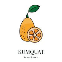 Citrus fruit Kumquat, line icon in vector to indicate on food packaging about the presence of this allergen.