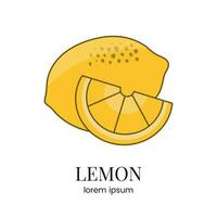 Citrus fruit lemon, line icon in vector to indicate on food packaging about the presence of this allergen.