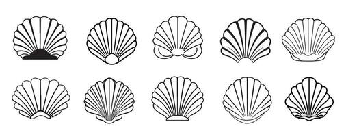 Sea shell set icons hand drawn sketch Vector illustration