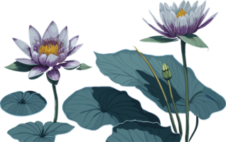 Lotus Water Lily AI generative png