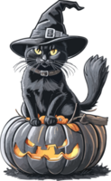 Mitternacht Magie Umarmen das schwarz Katze Halloween Festival ai generativ png
