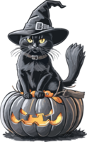 midnatt magi fattande de svart katt halloween festival ai generativ png